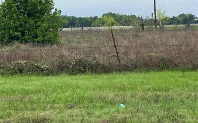 1821 State Highway 309