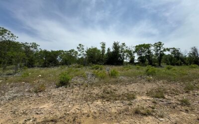 Lot 89 Elsie Andy Drive