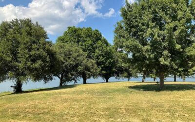 2 Acres +/- SE County Road 3186