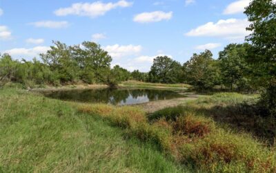 451 County Road 4975