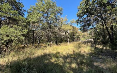 TBD 10 ACRES NW County Road 3055