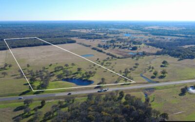 55.43 Acres State Hwy 31 Bypass